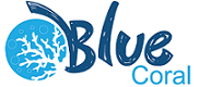 bluecoralzanzibar.com